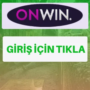 Onwin giriş